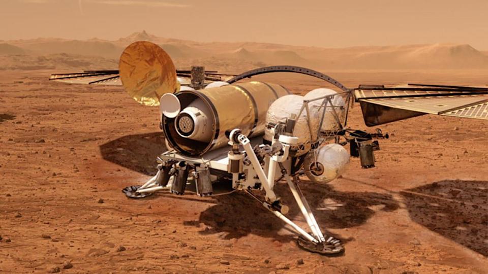 Un concepto sobre un perro perdiguero de muestra de Marte que podría traer esporas alienígenas a la Tierra
