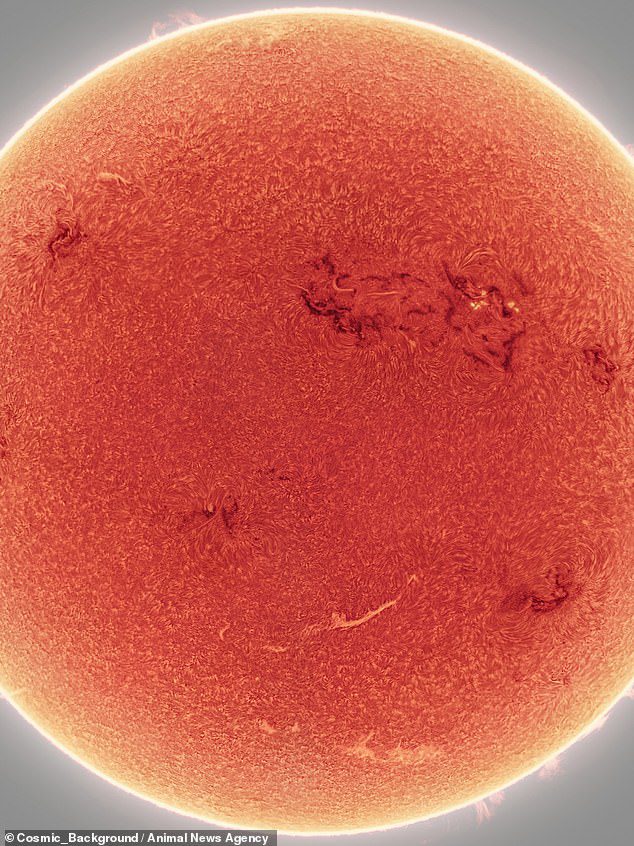 La imagen captura manchas oscuras, conocidas como regiones activas, en la superficie del Sol, así como manchas solares brillantes que brotan de la bola de fuego.