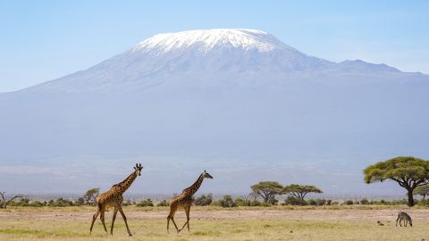 La UNESCO informa que los glaciares en el Monte Kilimanjaro en Tanzania están en camino de desaparecer en las próximas décadas.